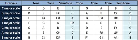 How Many Notes in a Musical Scale: A Deep Dive into the World of Music Theory