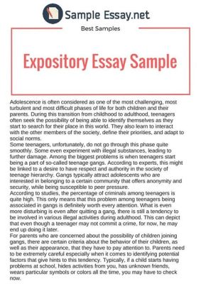 how to start an expository essay examples exploring the role of mentors in academic success