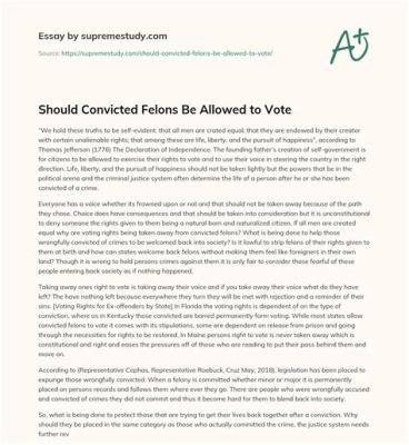 should convicted felons be allowed to vote essay and explore the potential impact of their votes on the justice system